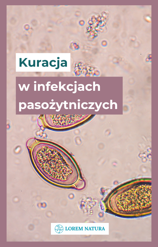 Kuracje ziołowe i dietetyczne - Kuracja odrobaczająca na pasożyty