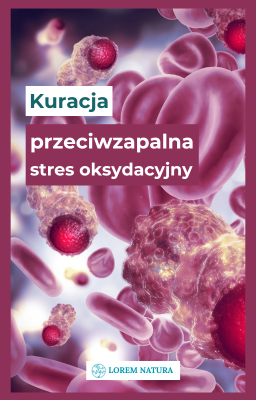Kuracje ziołowe i dietetyczne - Kuracja przeciwzapalna stres oksydacyjny i nitrozacyjny