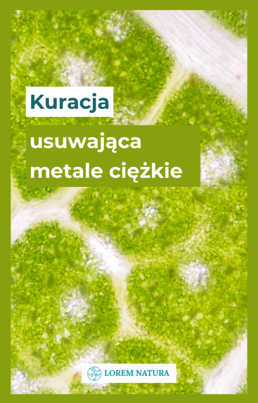 Kuracje ziołowe i dietetyczne - Kuracja usuwająca toksyny i metale ciężkie​