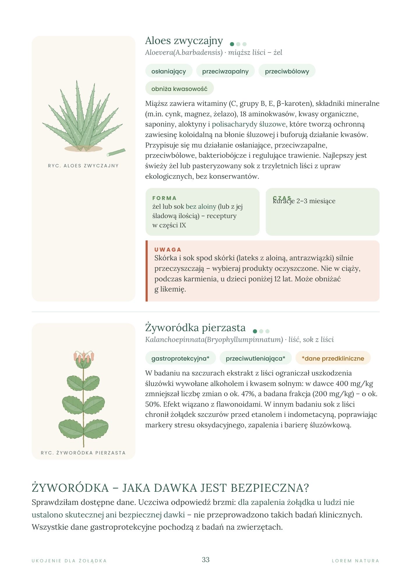 Program "Ukojenie dla żołądka" plus dwumiesięczna dieta w zapaleniu żołądka